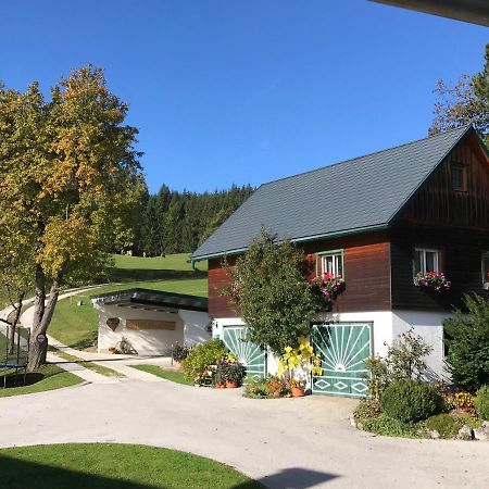 Ferienhaus Zwickelreith เกิสต์ลิง อัน แดร์อิบส์ ภายนอก รูปภาพ